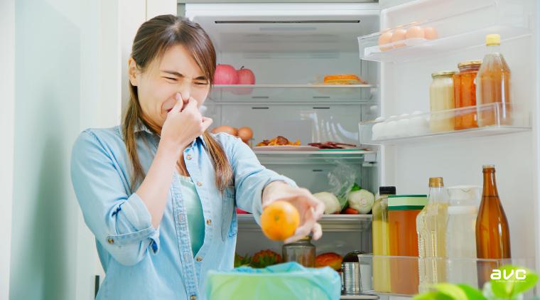 Tủ lạnh đèn sáng nhưng không chạy khiến cho thức ăn trong tủ bị hư hỏng