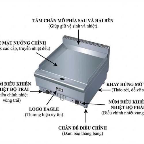 chien-phang-doi-dung-dien-eagle-eft2-60