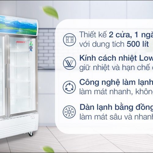 tu-mat-2-canh-sanaky-vh-6009hp