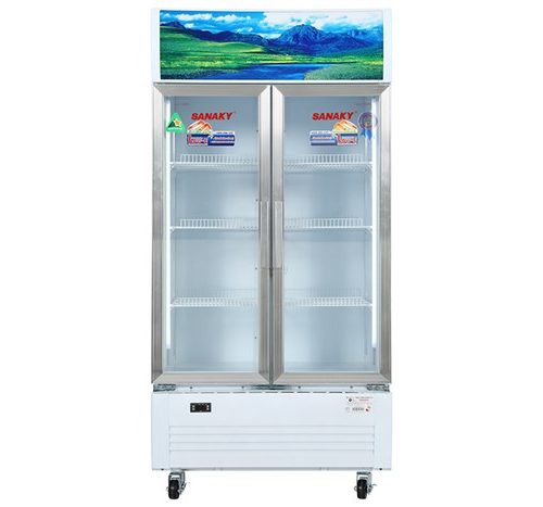tu-mat-2-canh-sanaky-vh-6009hp